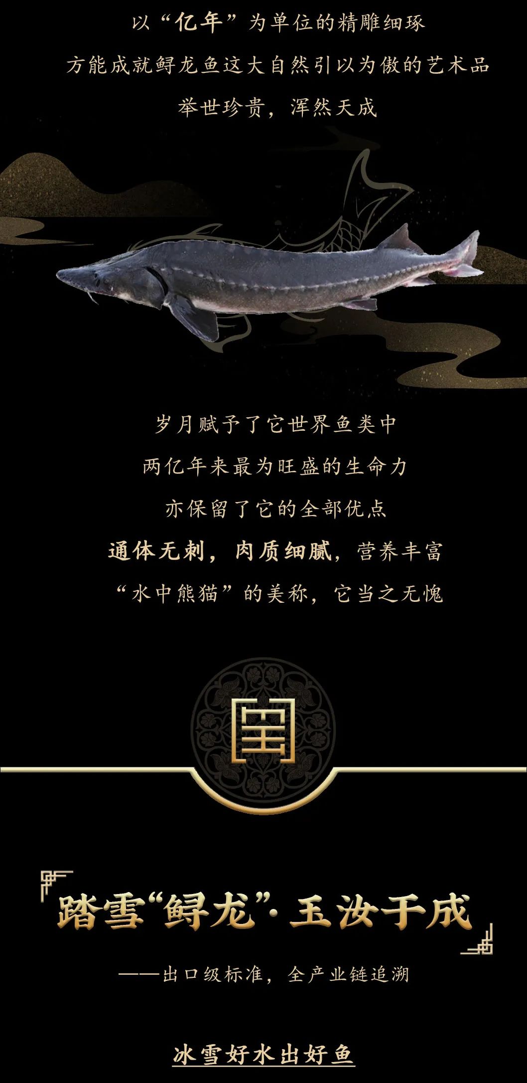 九州鱘龍魚片上新 | 自然臻藏，獻(xiàn)給吃魚有講究的人